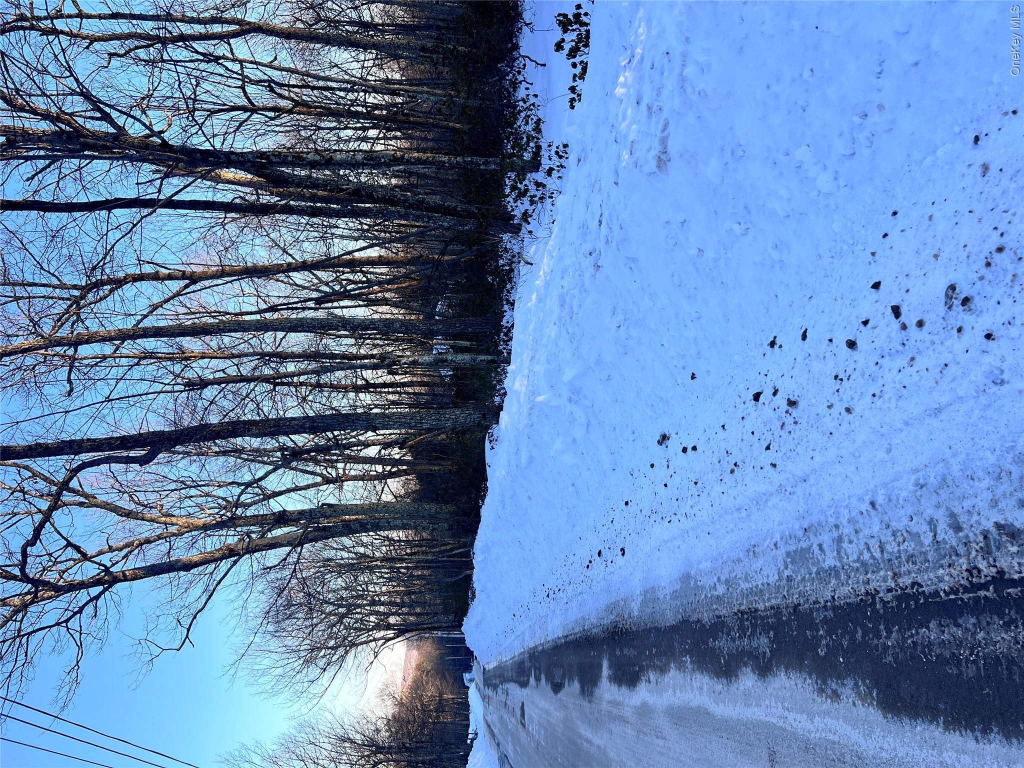 Budd Road Wurtsboro, NY 12790 - Photo 2 of 11 a yard with trees in the background