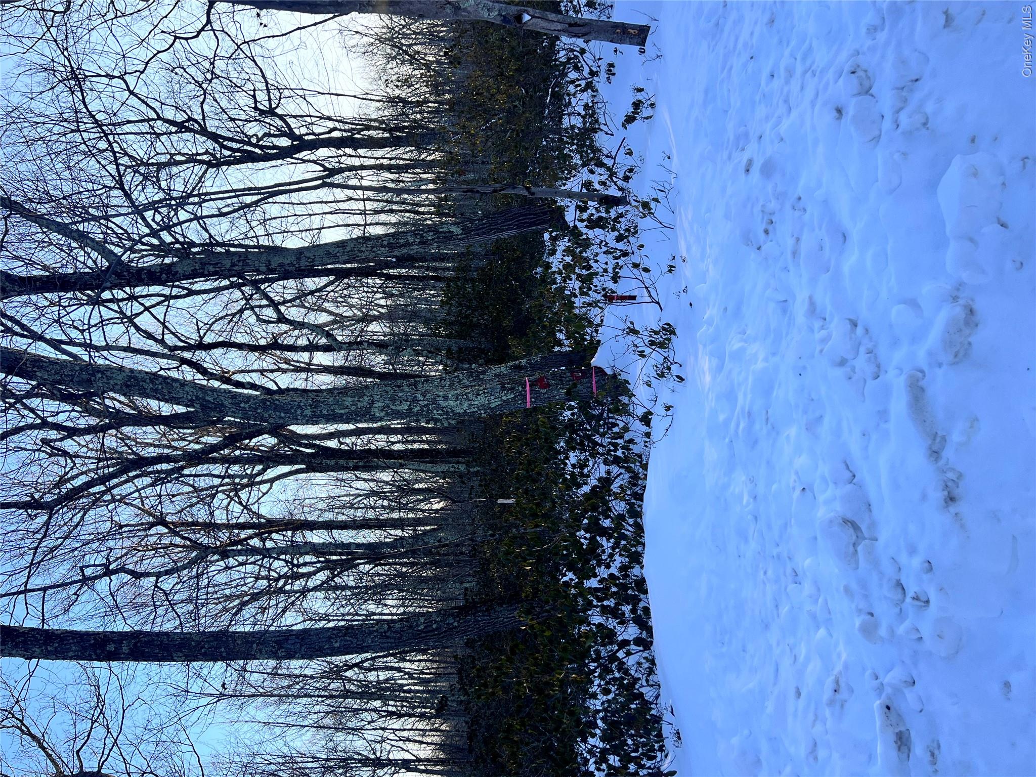 Budd Road Wurtsboro, NY 12790 - Photo 4 of 11 a view of a garden