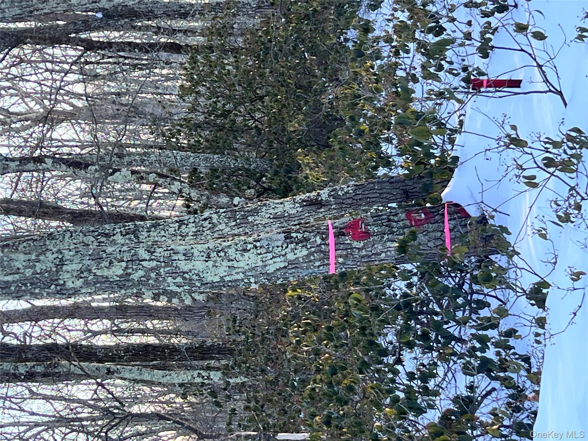 Budd Road Wurtsboro, NY 12790 - Photo 5 of 11