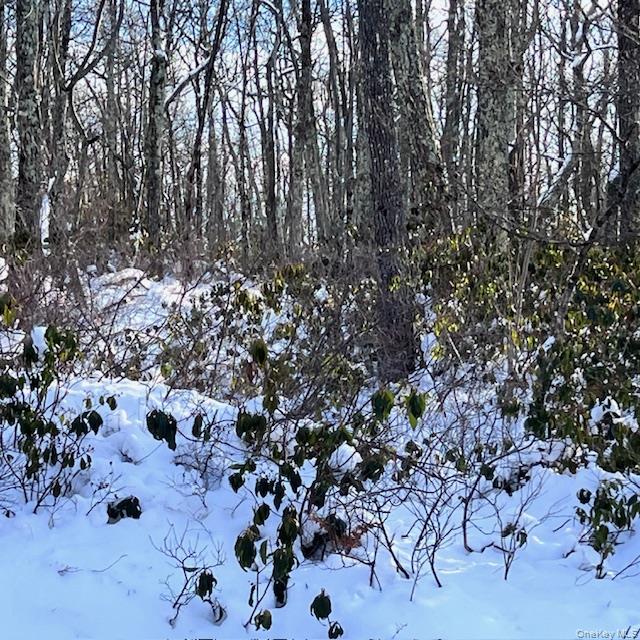 Budd Road Wurtsboro, NY 12790 - Photo 9 of 11