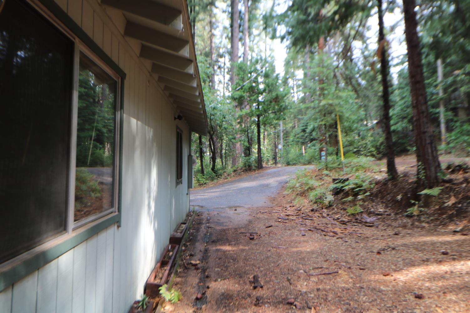 1536 Meadowview Road Arnold, CA 95223 - Photo 21 of 22 a view of a backyard with large trees