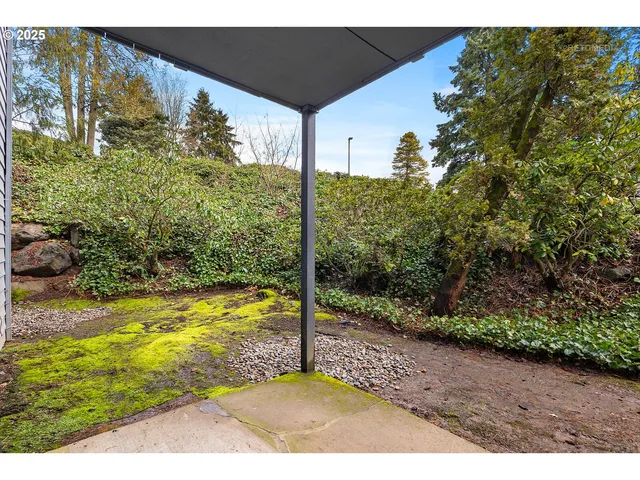 a view of a backyard