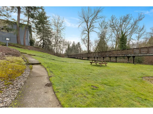 a view of a backyard