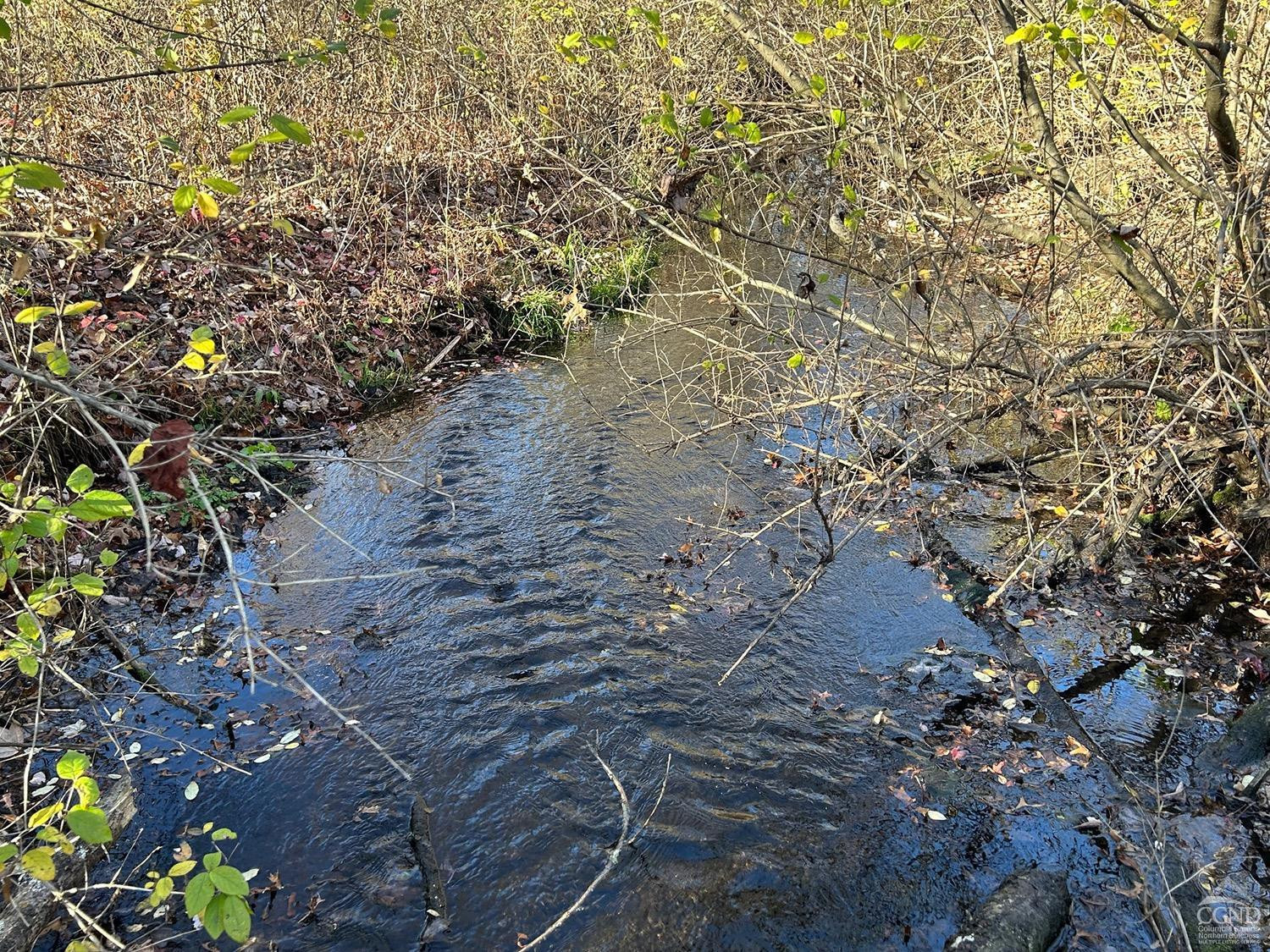 44 Benner Road Red Hook, NY 12571 - Photo 22 of 22 a picture of tree