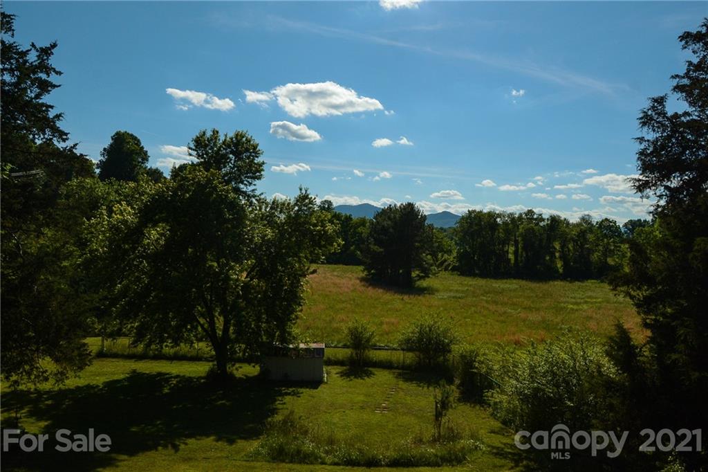 687 John Shehan Road Tryon, NC 28782 - Photo 5 of 20 a view of a big yard with plants and large trees