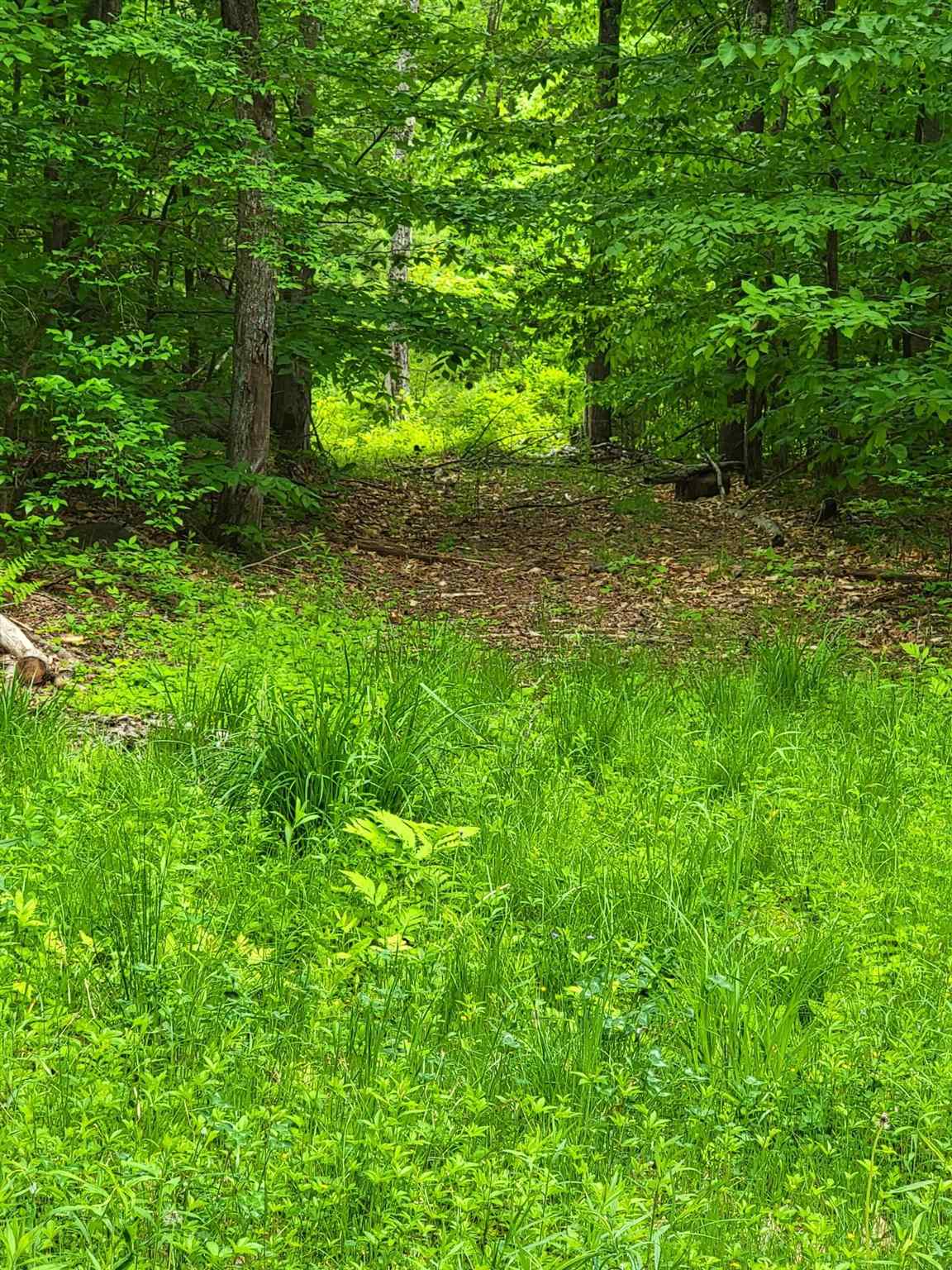 0 Bennington Road Francestown, NH 03043 - Photo 3 of 13 Gallery Image 3
