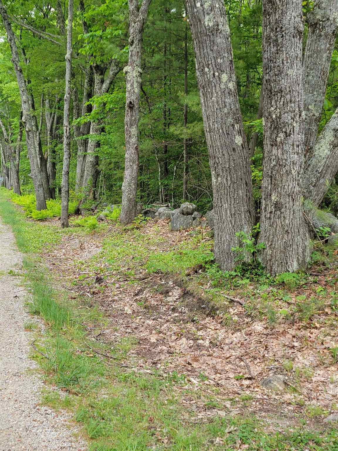 0 Bennington Road Francestown, NH 03043 - Photo 4 of 13 Gallery Image 4