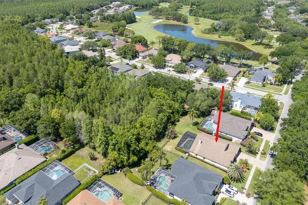 $4,653 | 18806 Chemille Drive, Lutz, FL 33558