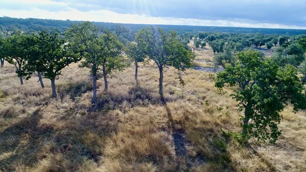 $209,900 | 290 Stallion Drive, Unit 139, Harper, TX 78631