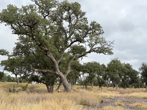 $209,900 | 290 Stallion Drive, Unit 139, Harper, TX 78631