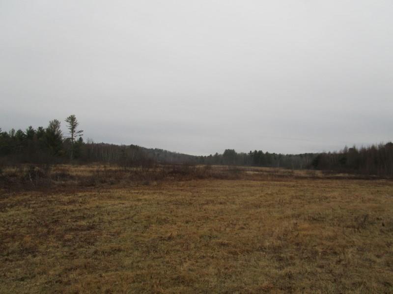 Tbd Line Road Greene, ME 04236 - Photo 6 of 10 Photo