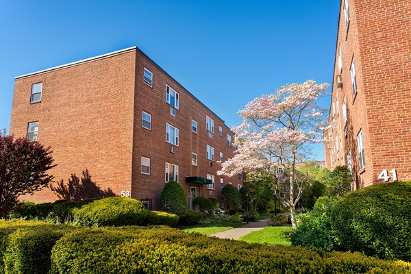47 Colborne Road, Unit B1 Boston, MA 02135 - Photo 1 of 9 Gallery Image 1