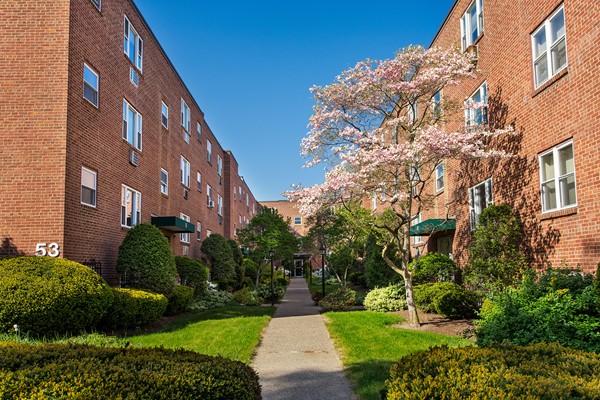 47 Colborne Road, Unit B1 Boston, MA 02135 - Photo 2 of 9 Gallery Image 2
