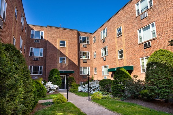 47 Colborne Road, Unit B1 Boston, MA 02135 - Photo 3 of 9 Gallery Image 3
