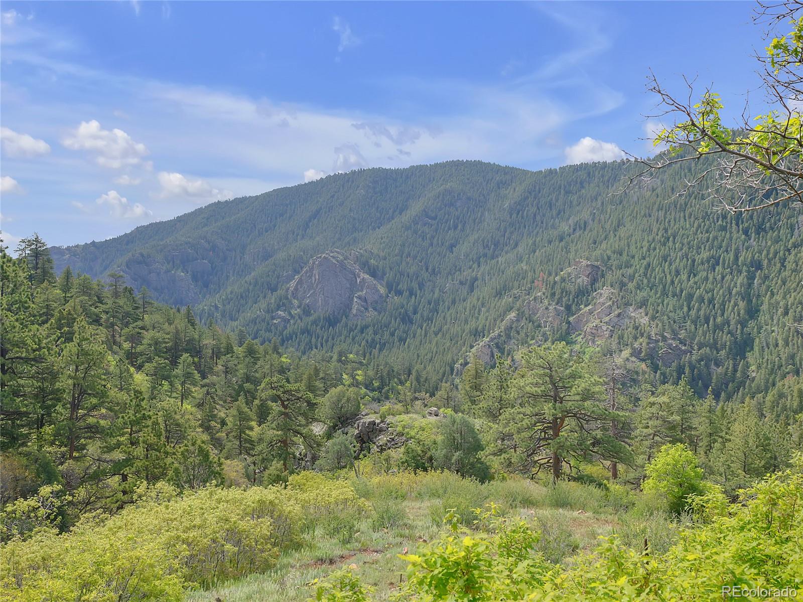 5162 Raven Gulch Road Indian Hills, CO 80454 - Photo 14 of 31