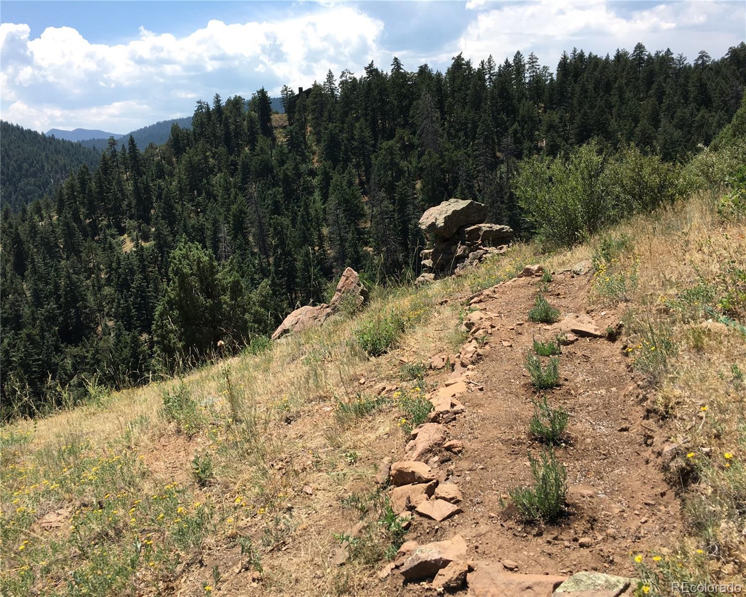 5162 Raven Gulch Road Indian Hills, CO 80454 - Photo 21 of 31