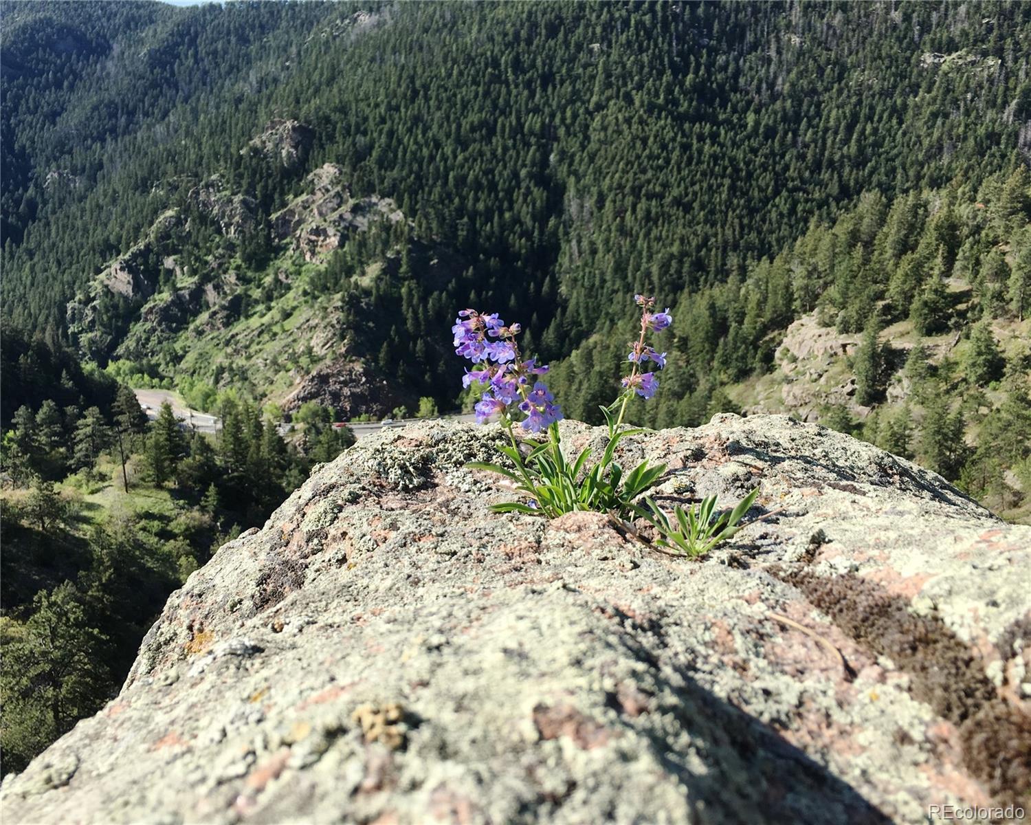 5162 Raven Gulch Road Indian Hills, CO 80454 - Photo 24 of 31