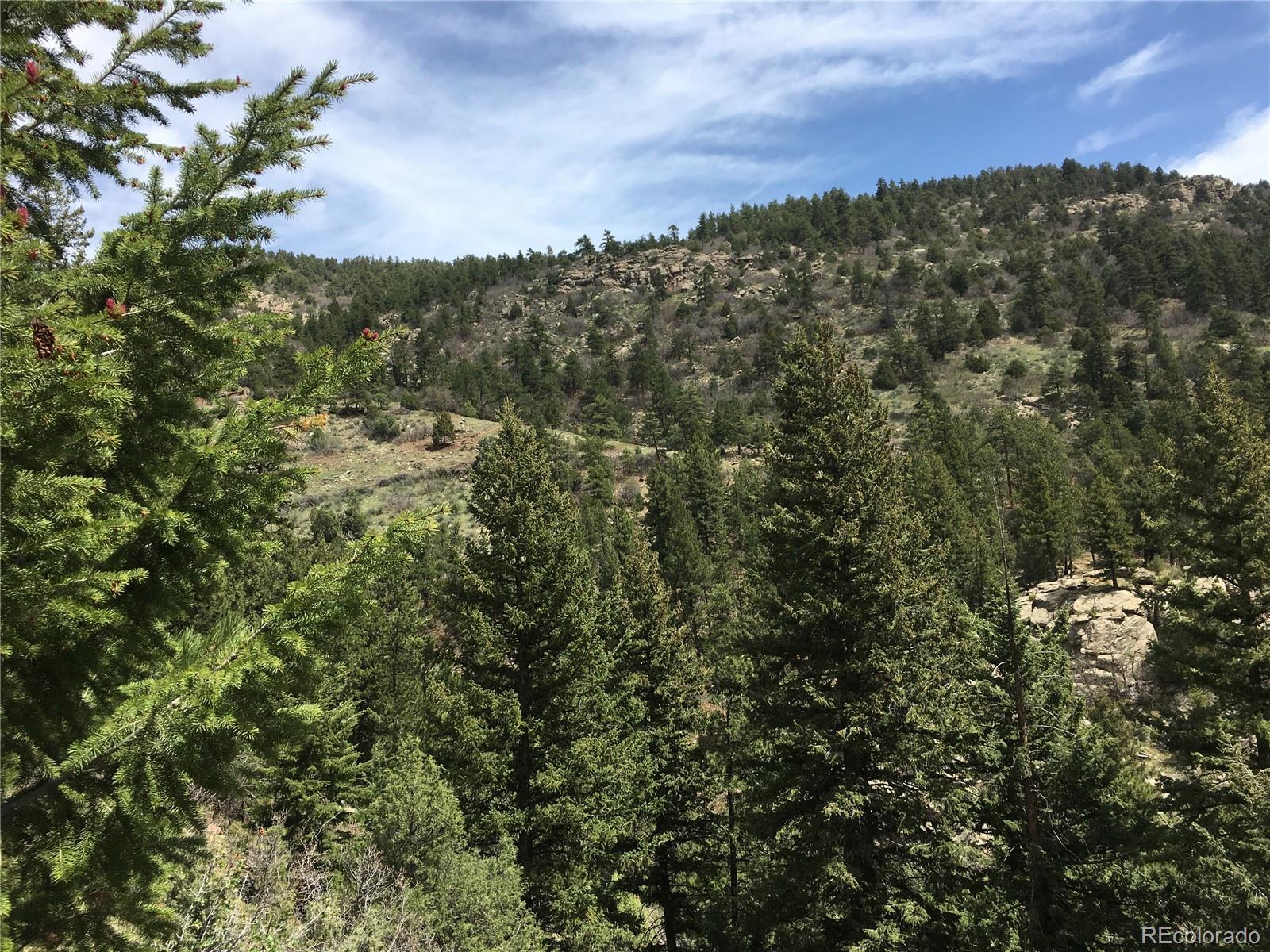 5162 Raven Gulch Road Indian Hills, CO 80454 - Photo 25 of 31