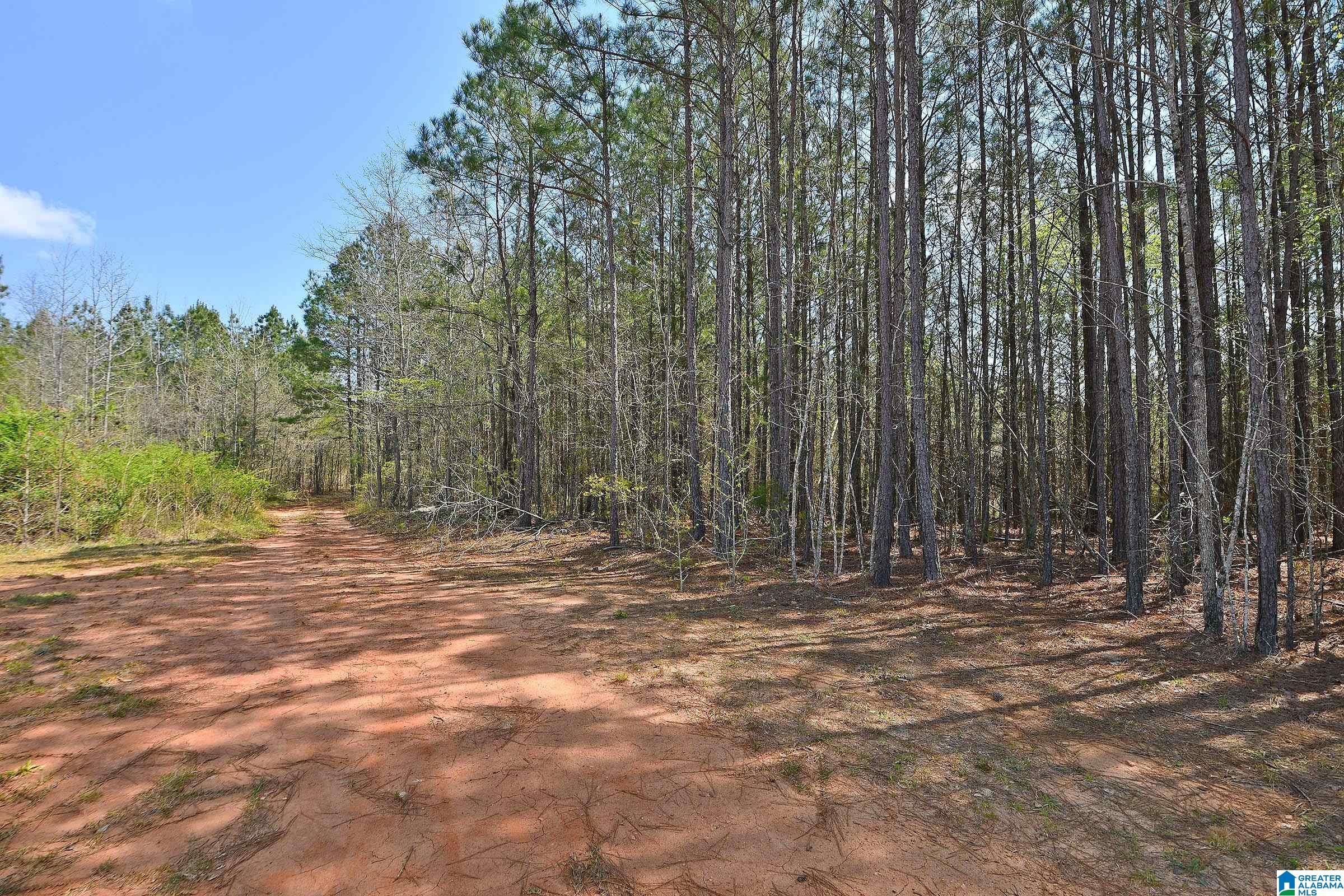 871 County Road 75 Wedowee, AL 36278 - Photo 11 of 50