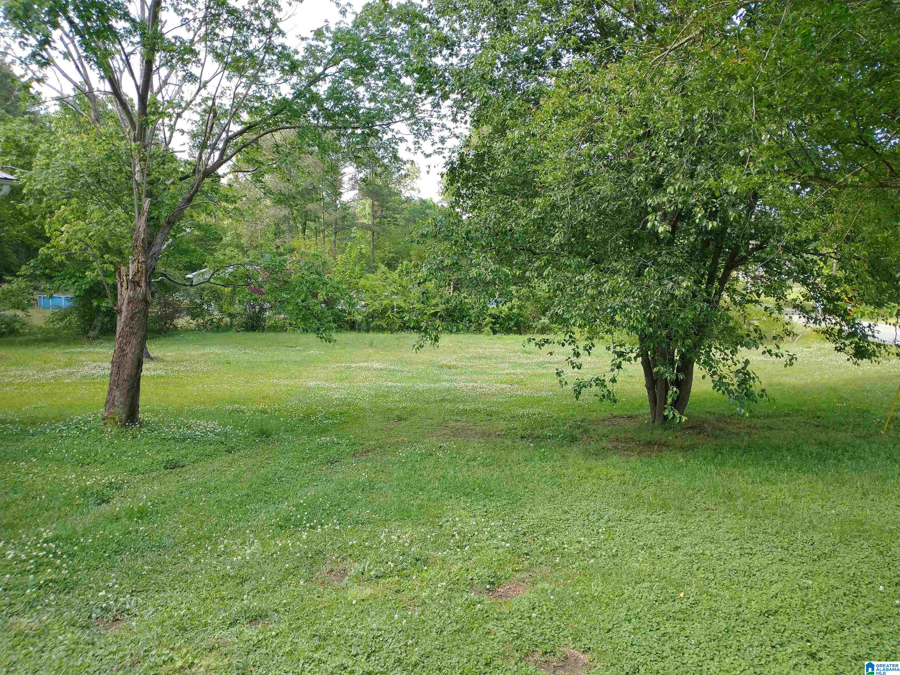 8785 Bradford Trafford Road Pinson, AL 35126 - Photo 7 of 32