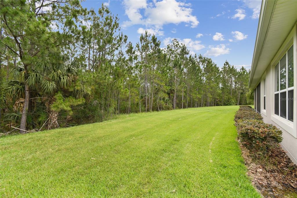 726 Irvine Ranch Road Kissimmee, FL 34759 - Photo 35 of 52