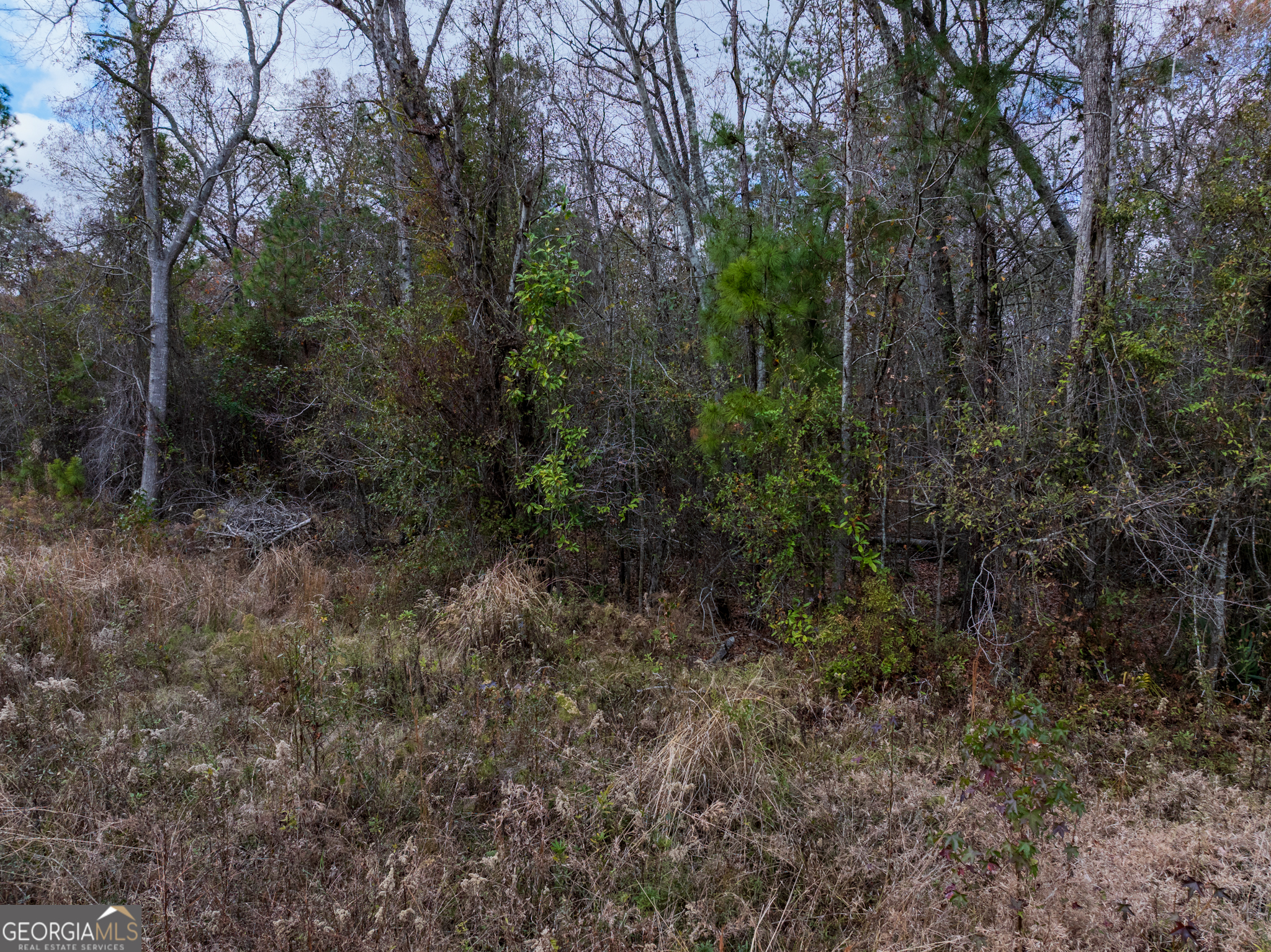 5418 Carlton Road Garfield, GA 30425 - Photo 11 of 16