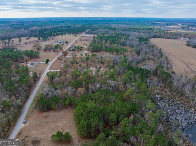 a view of a forest with trees in the background