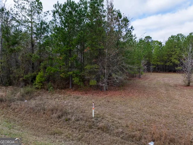 a view of a dry yard with trees