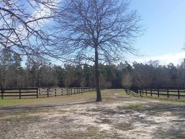 2298 A Cullum Trail Road Aiken, SC 29803 - Photo 2 of 10