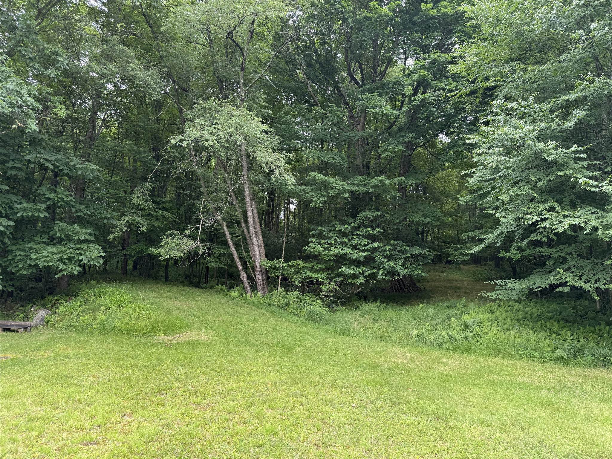 884 Valley Road Polk, PA 16342 - Photo 13 of 47 Wooded area of property