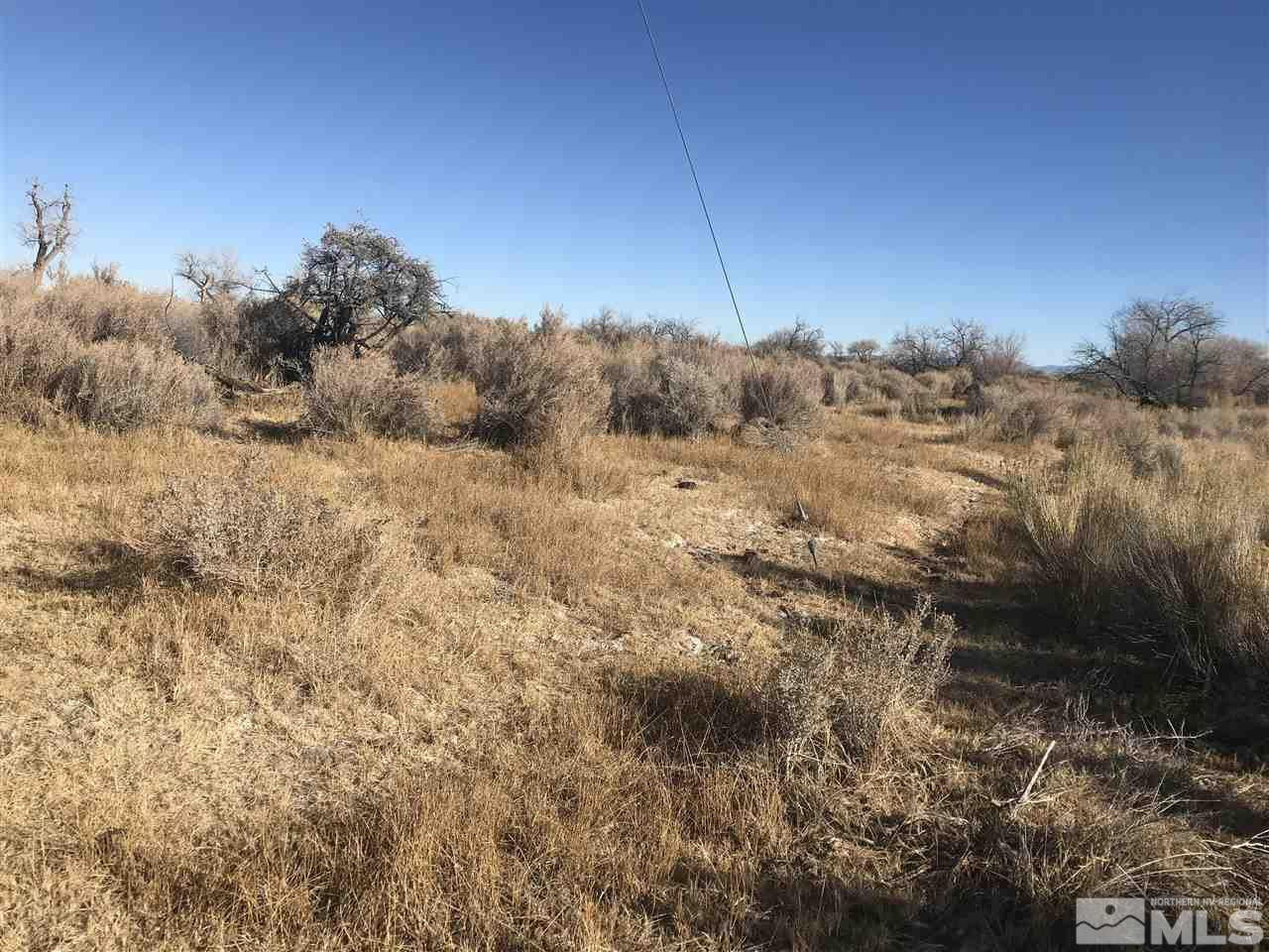 Wagon Trail Fallon, NV 89406 - Photo 2 of 2 Photo 2