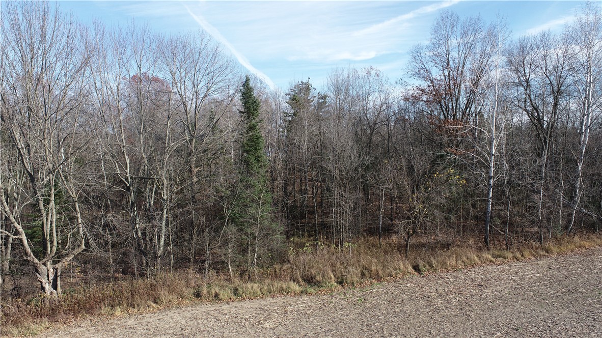 0 Willy Road Weyerhaeuser, WI 54895 - Photo 8 of 12