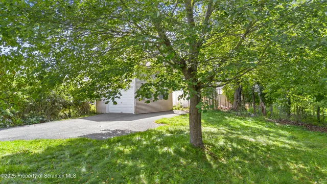 a view of a tree with a yard