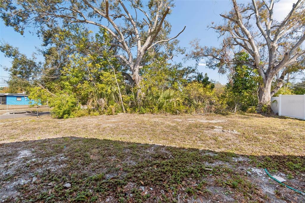 7097 Delta Way Clearwater, FL 33764 - Photo 52 of 71 a view of dirt yard with a large tree
