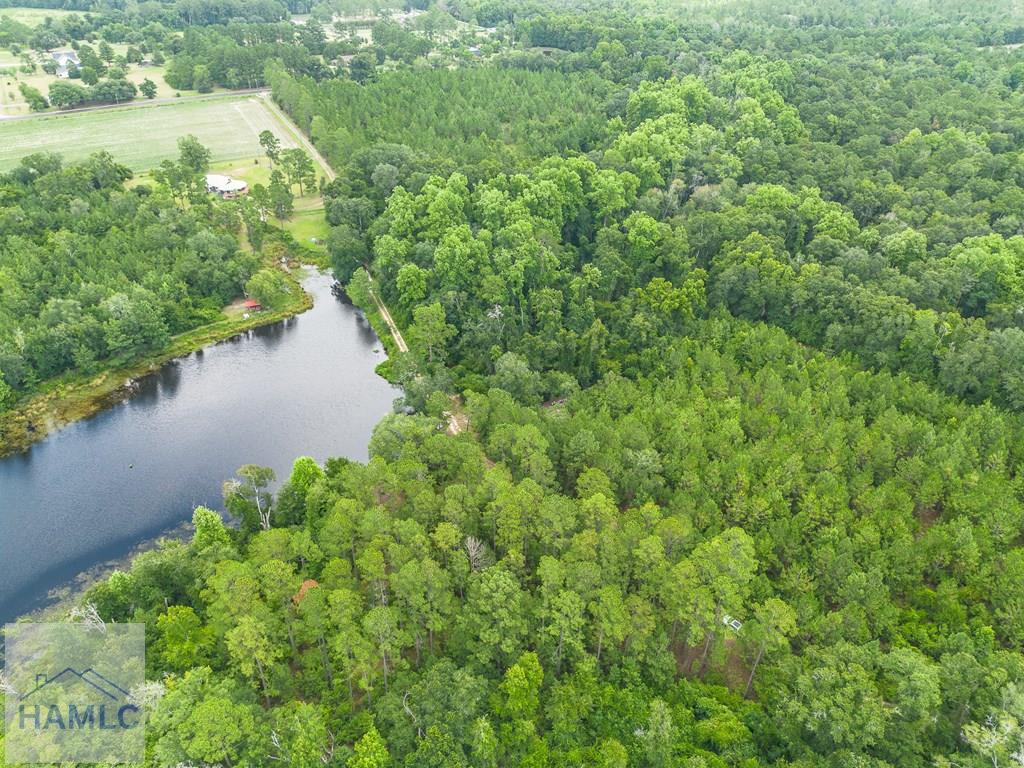 0 Nesbit Road Jesup, GA 31545 - Photo 13 of 35 Gallery Image 13