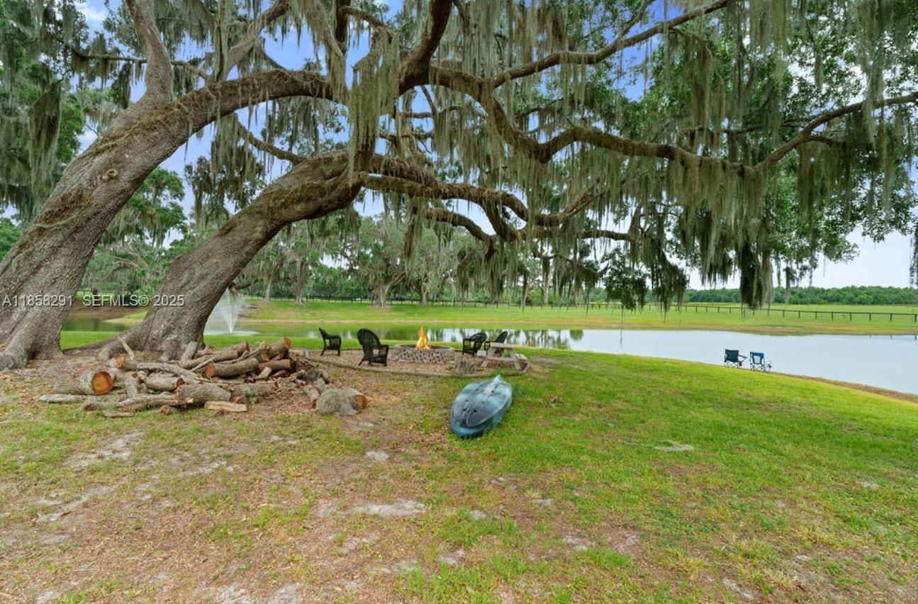 20925 Northwest 100th Avenue Road Micanopy, FL 32667 - Photo 19 of 19 a view of a park with large trees