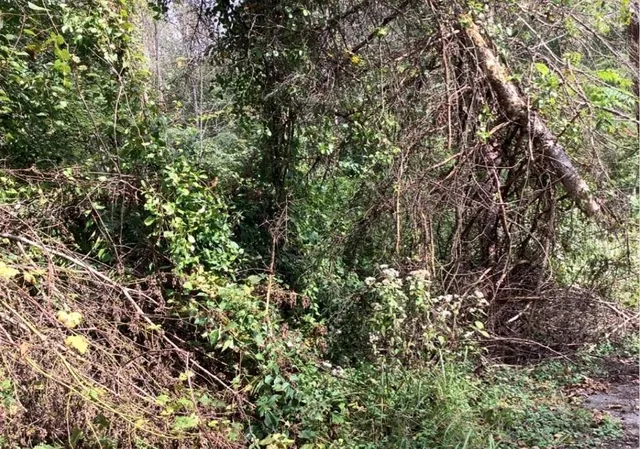 $99,900 | 0 Harmony Avenue, Rochester, PA 15074