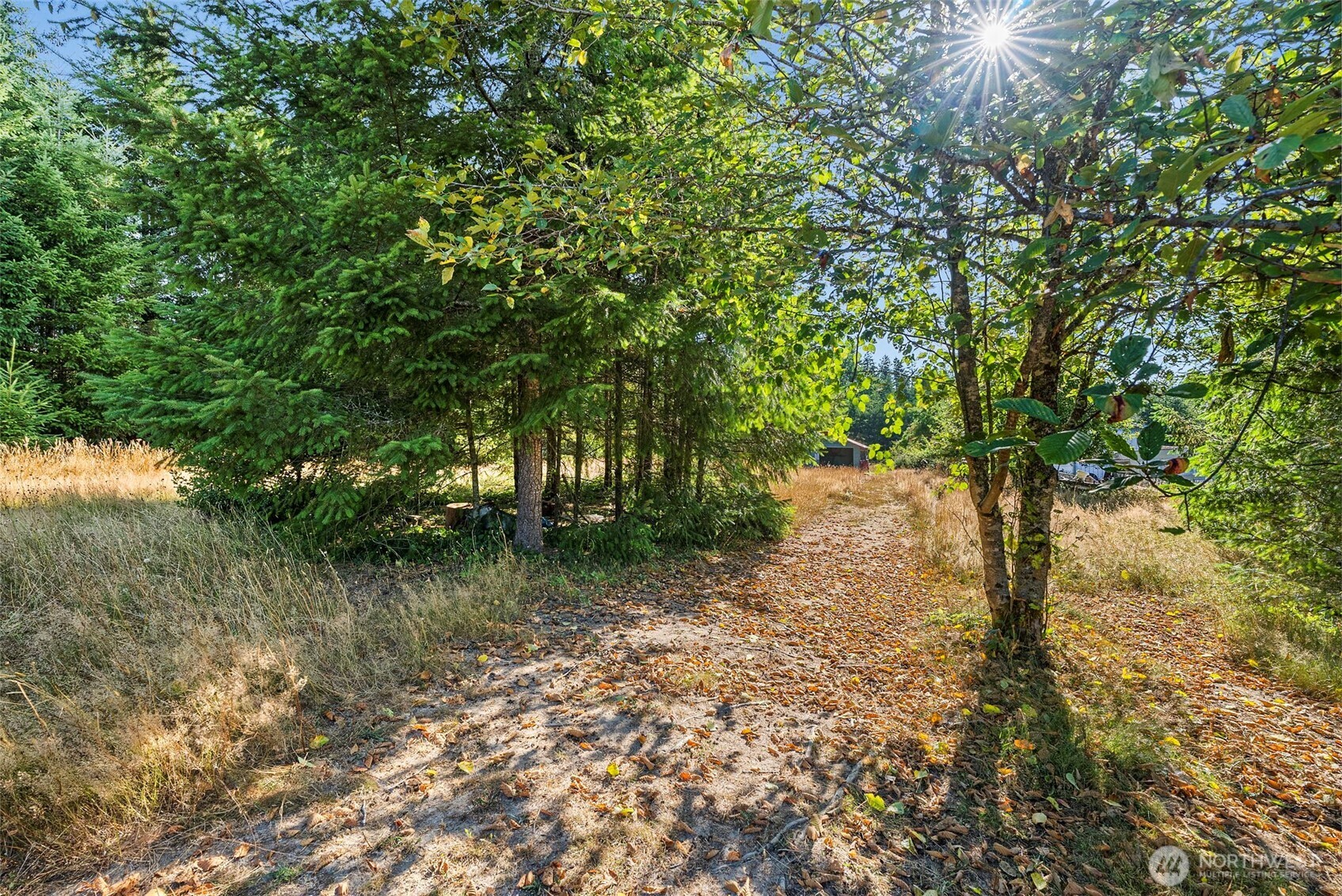 1335 Centralia Alpha Road Chehalis, WA 98532 - Photo 26 of 32 a backyard of a house with lots of green space