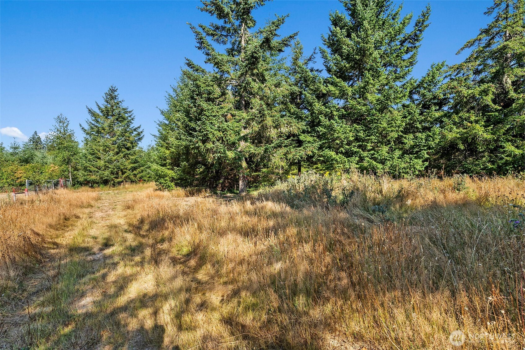 1335 Centralia Alpha Road Chehalis, WA 98532 - Photo 30 of 32 a view of a yard with a tree