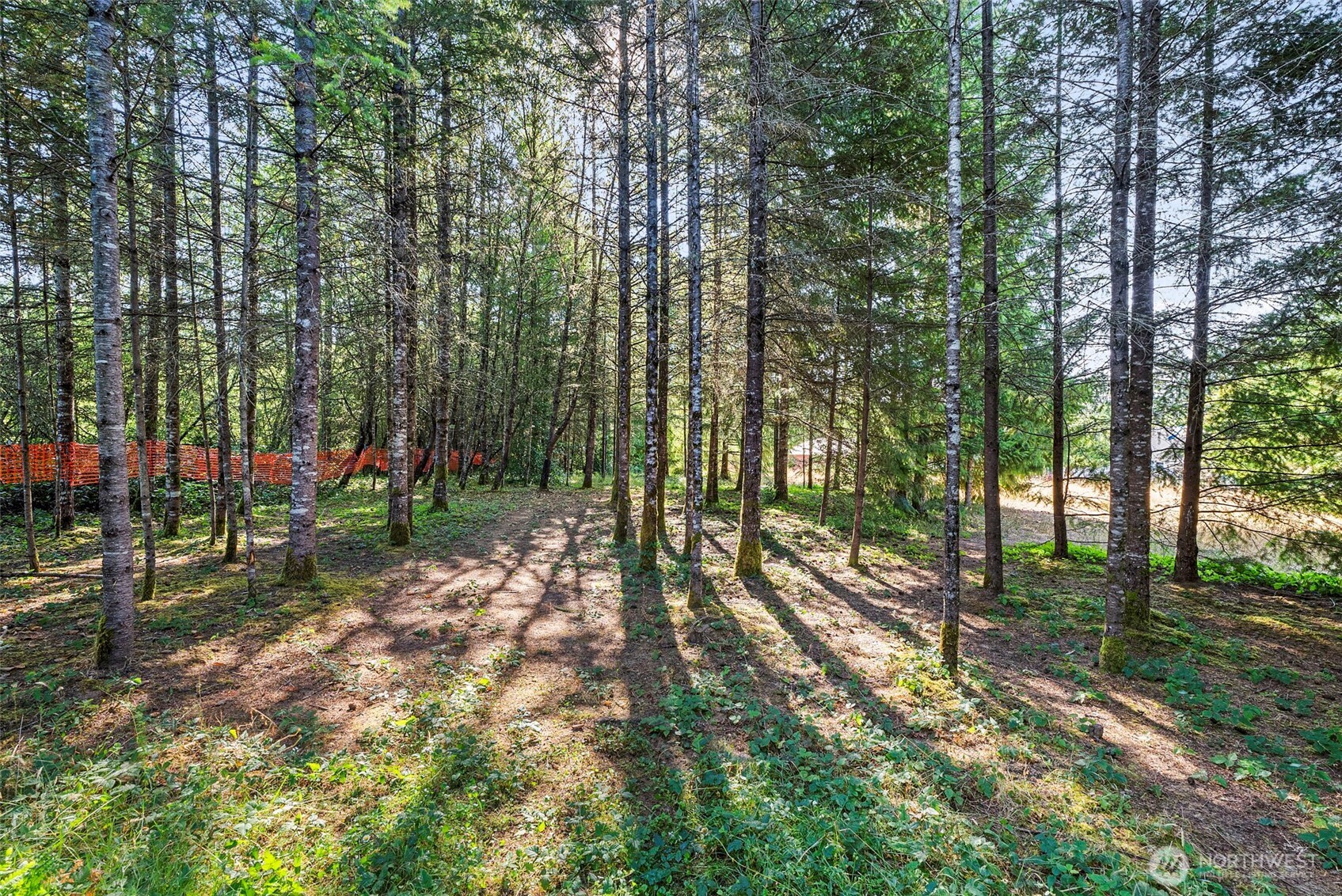 1335 Centralia Alpha Road Chehalis, WA 98532 - Photo 31 of 32 a view of outdoor space and yard