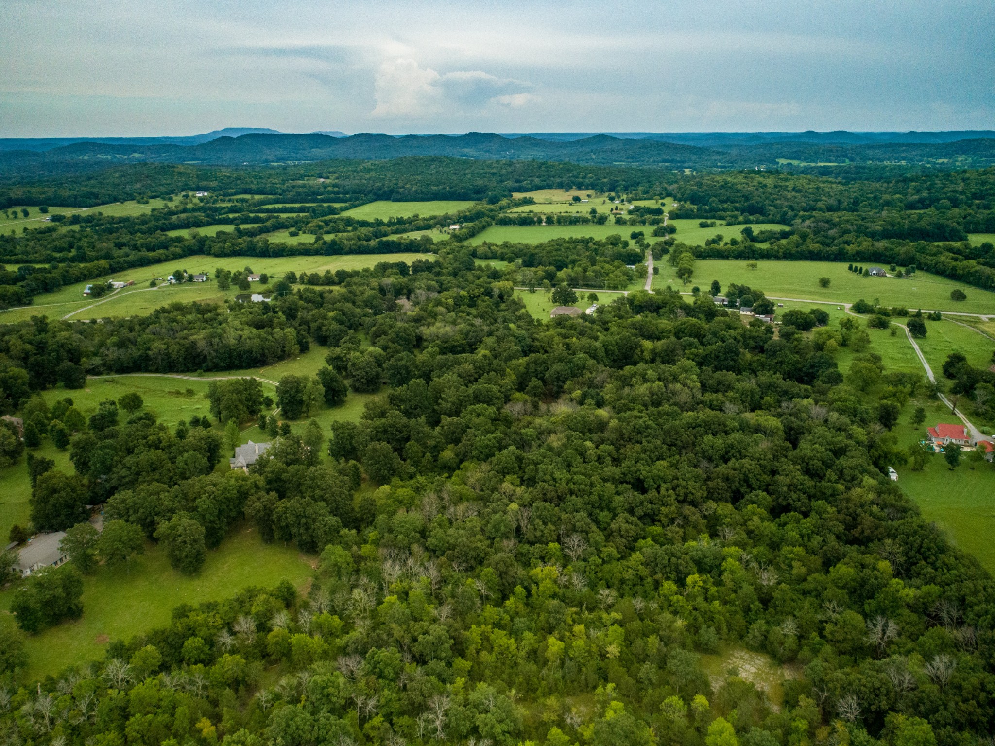 3880 Murray-Kittrell Road Readyville, TN 37149 - Photo 50 of 59 Gallery Image 50