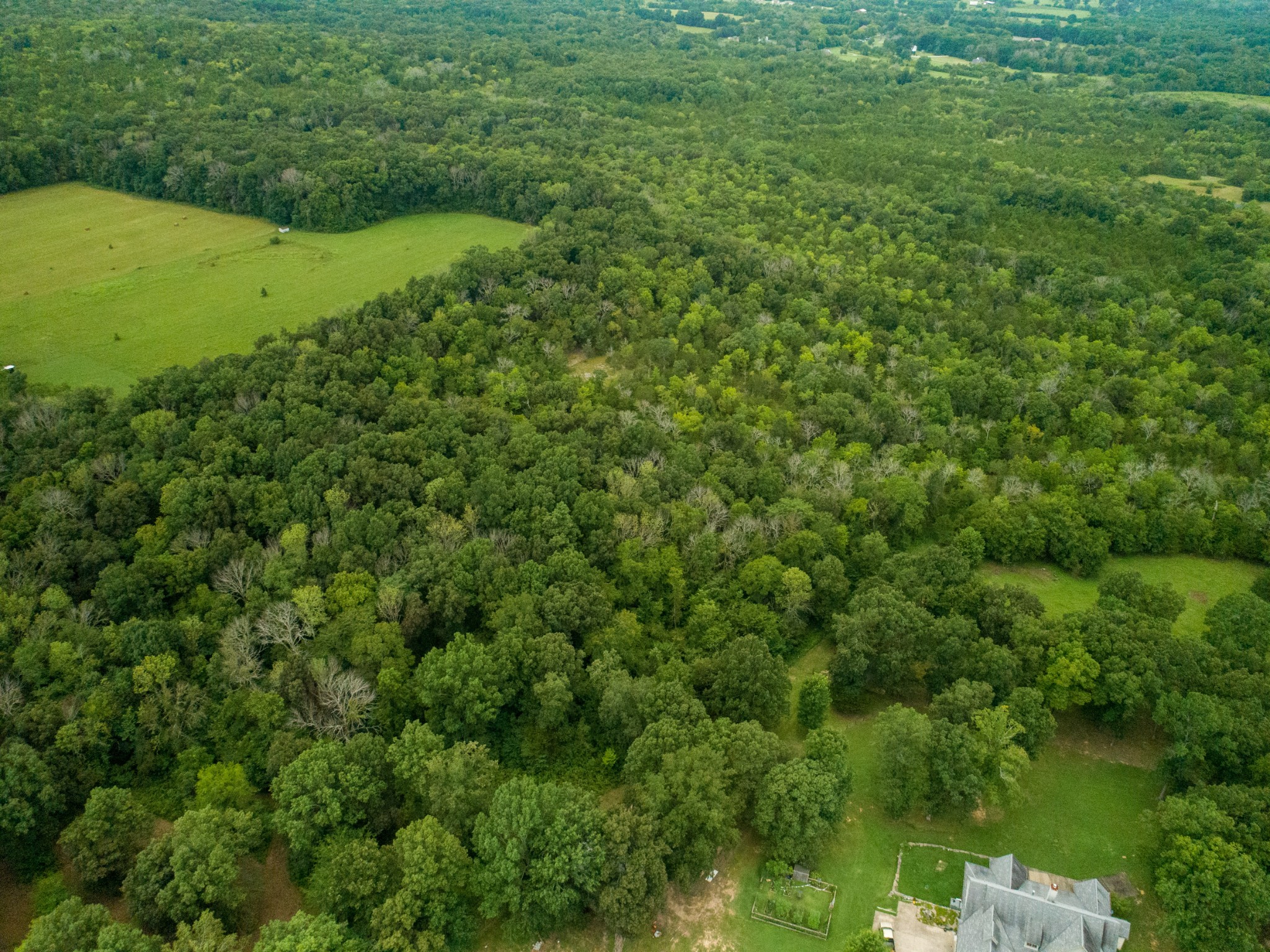 3880 Murray-Kittrell Road Readyville, TN 37149 - Photo 56 of 59 Gallery Image 56