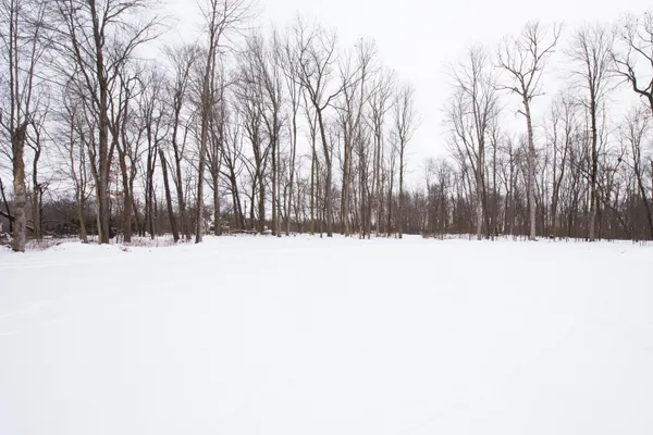 $560,000 | 1070 Ashlyn Court, Fowlerville, MI 48836
