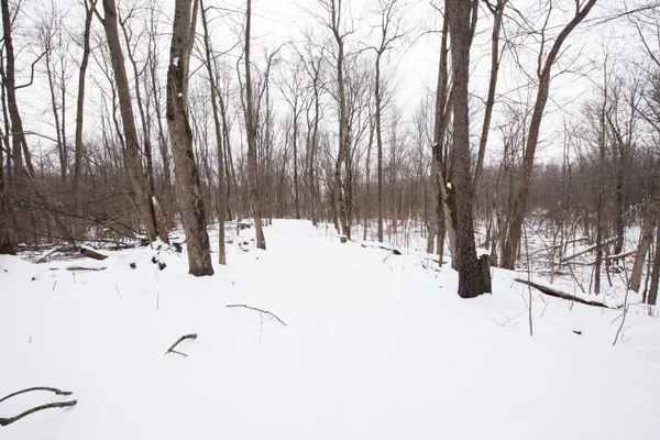 $560,000 | 1070 Ashlyn Court, Fowlerville, MI 48836