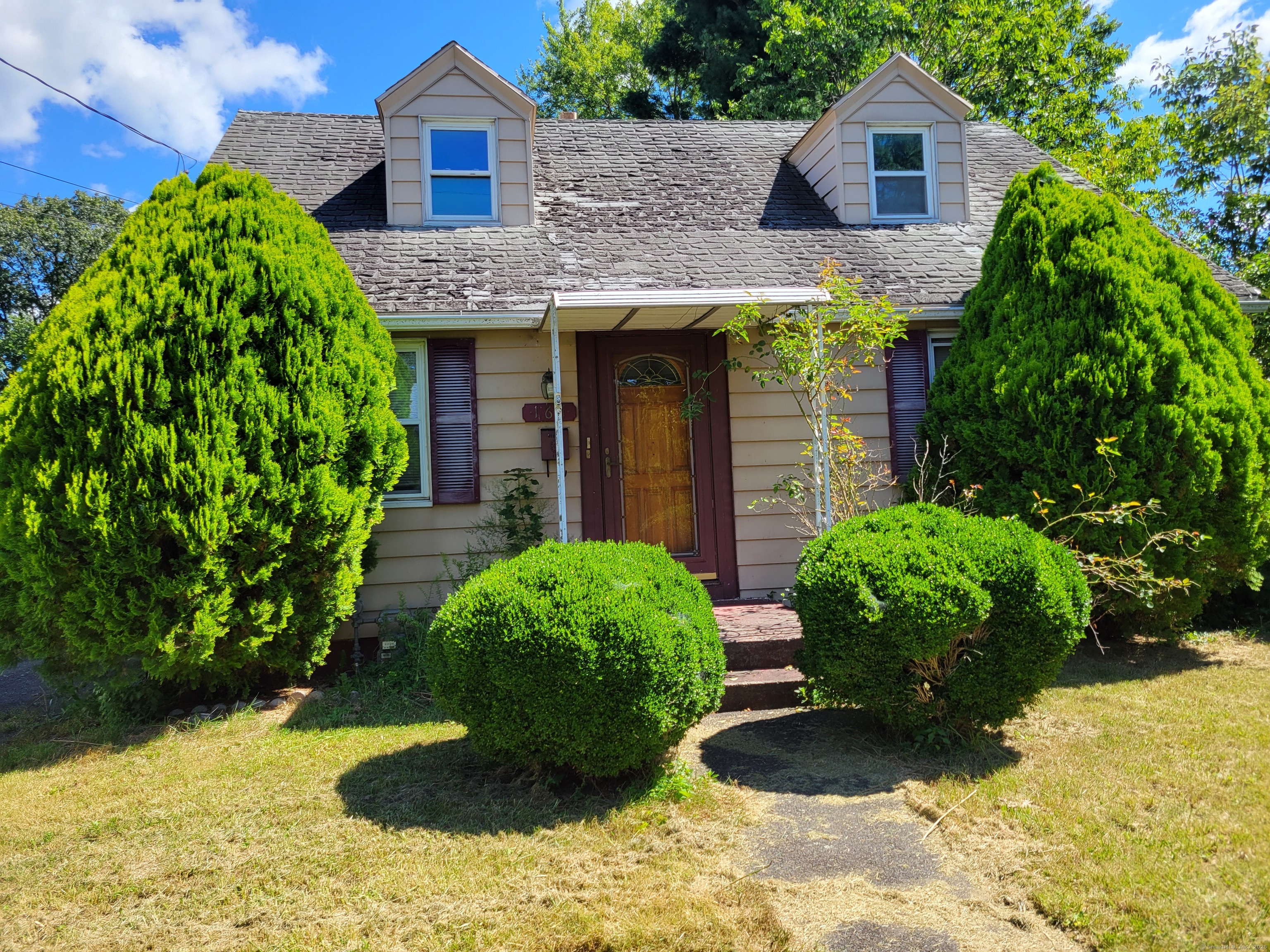 a view of a backyard with plants