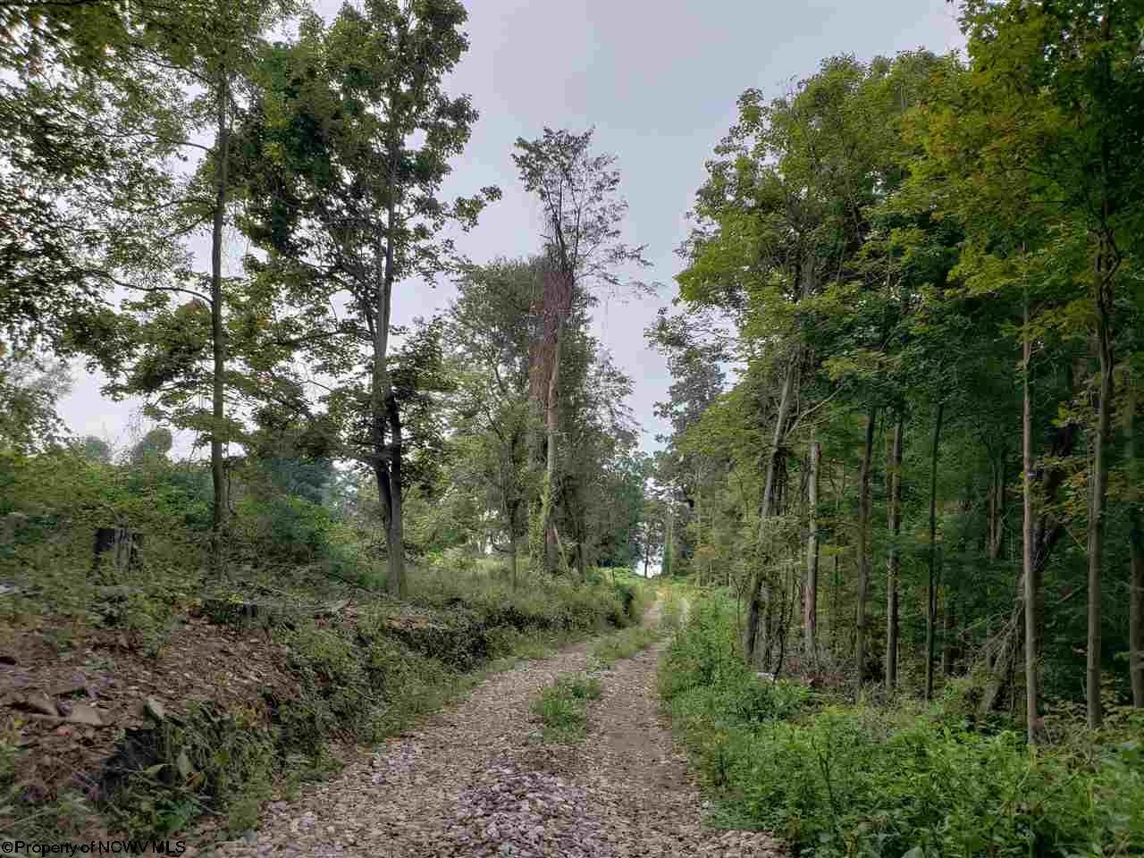 52.2-acres Coal Lick Road Albright, WV 26519 - Photo 9 of 9 Gallery Image 9