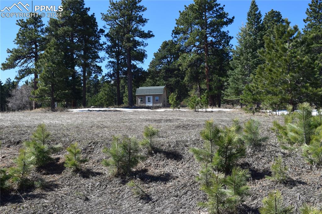 8500 Park Road Rye, CO 81069 - Photo 15 of 28 a view of house with trees