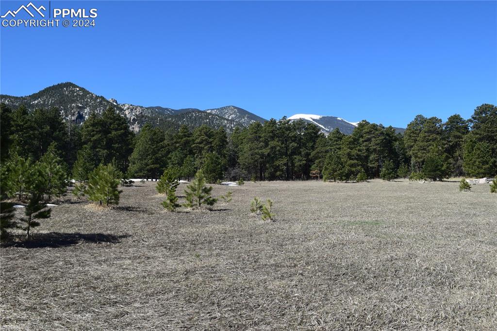 8500 Park Road Rye, CO 81069 - Photo 22 of 28 a view of outdoor space with green field and mountains