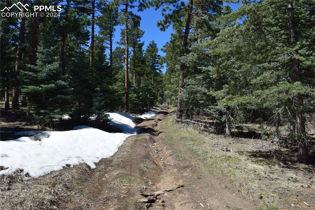 8500 Park Road Rye, CO 81069 - Photo 26 of 28 a view of outdoor space and covered with trees