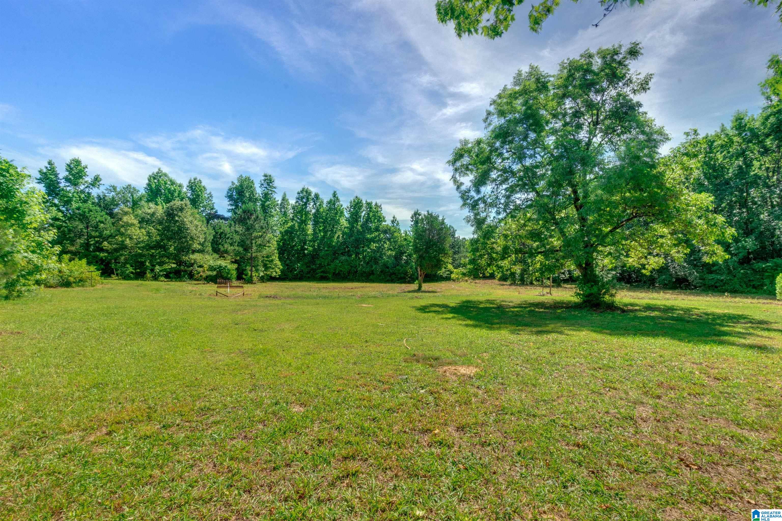 310 County Road 249 Clanton, AL 35046 - Photo 48 of 85